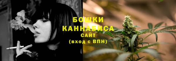 молекула духа Надым