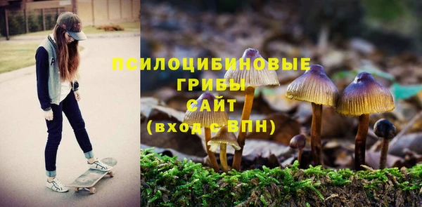 а пвп мука Навашино