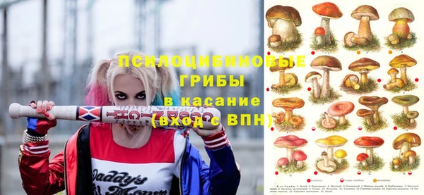 молекула духа Надым