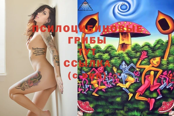 ешки Алапаевск