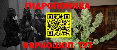 скорость Аргун
