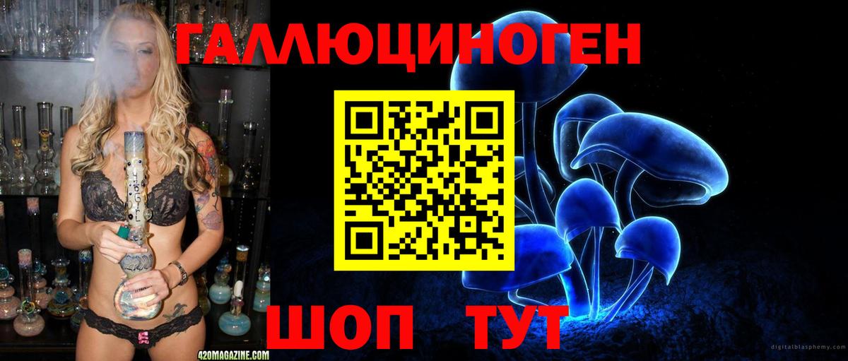 Галлюциногенные грибы прущие грибы  Белгород 